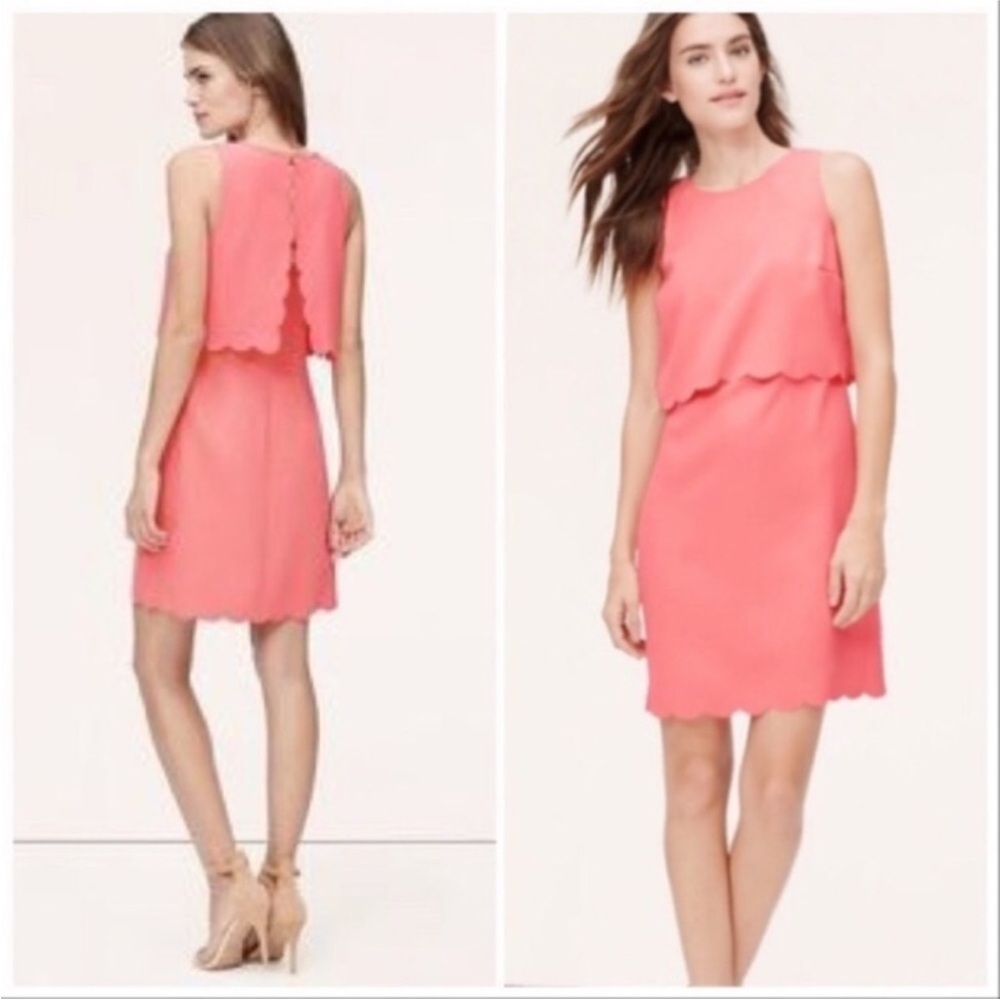 Loft Coral Pink Scalloped Dress